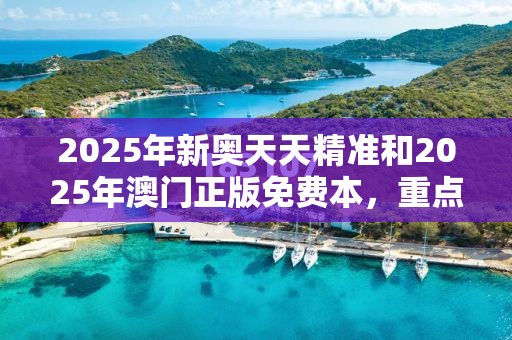 2025年新奥天天精准和2025年澳门正版免费本，重点释义、解释与落实,警惕不实的钓鱼钩